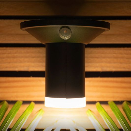 Brendz Solar Wandlamp Juba