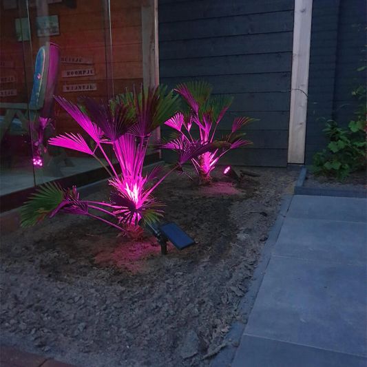 Slimme solar spot Highlight RGB met grondspies - Bedienen via de Smart Life app