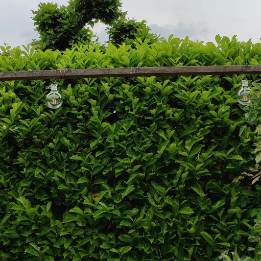 Solar filament lampen set van 4 Scoop met ophangklem