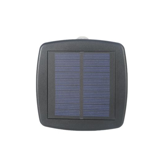 Solar priklamp Move II padverlichting zwart met bewegingssensor