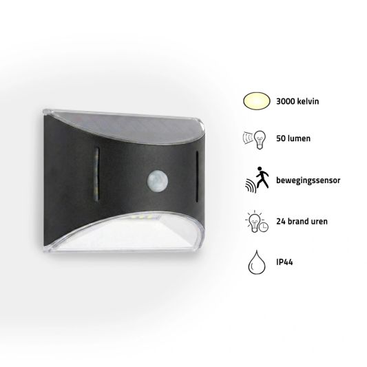 Solar RVS buitenlamp Glare met bewegingssensor - Moderne wandlamp op zonne-energie