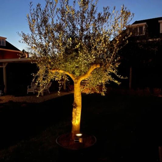 Solar spot Flood voor wandmontage of grondspies - buitenlamp op zonne energie