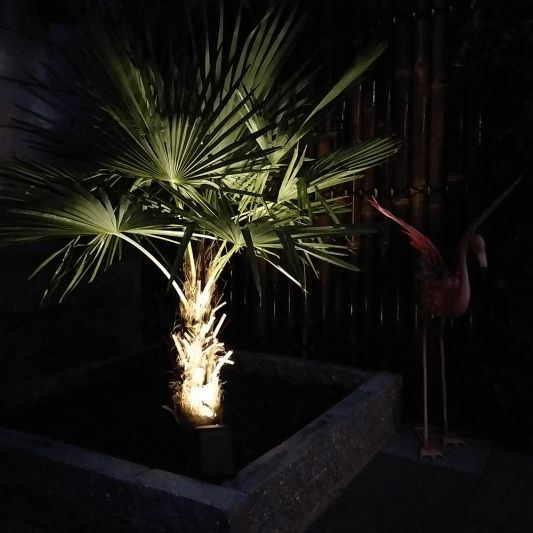 Solar spot Sunny Dual White tuinspot met grondspies - 2 stuks