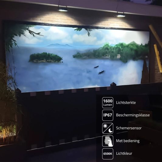 Solar wandlamp Capital II met los zonnepaneel