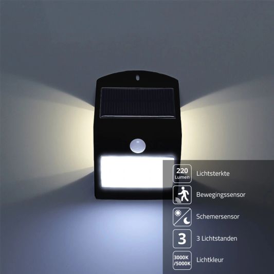 Solar wandlamp Carl met 14 leds en bewegingsmelder op zonne energie