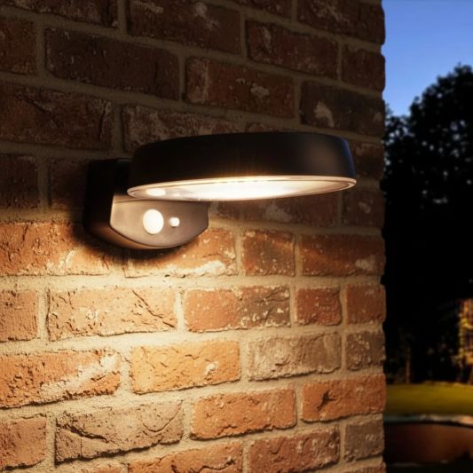 Solar wandlamp Darwin op zonne-energie