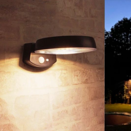 Solar wandlamp Darwin op zonne-energie