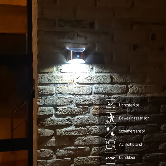 Solar wandlamp Flint RVS met bewegingsmelder op zonne energie koud wit
