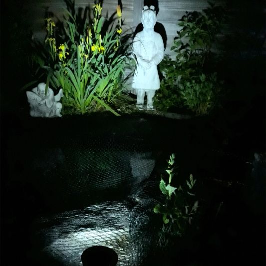 Solar wandspot Highlight voor wandmontage of grondspies - buitenlamp op zonne energie