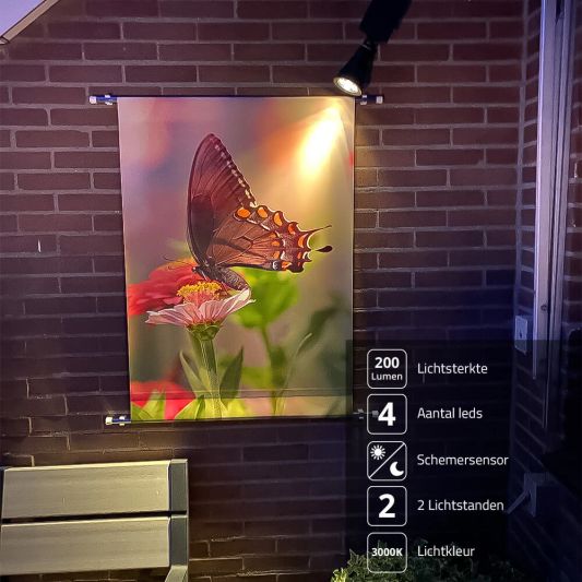 Solar wandspot Highlight voor wandmontage of grondspies - buitenlamp op zonne energie warm wit