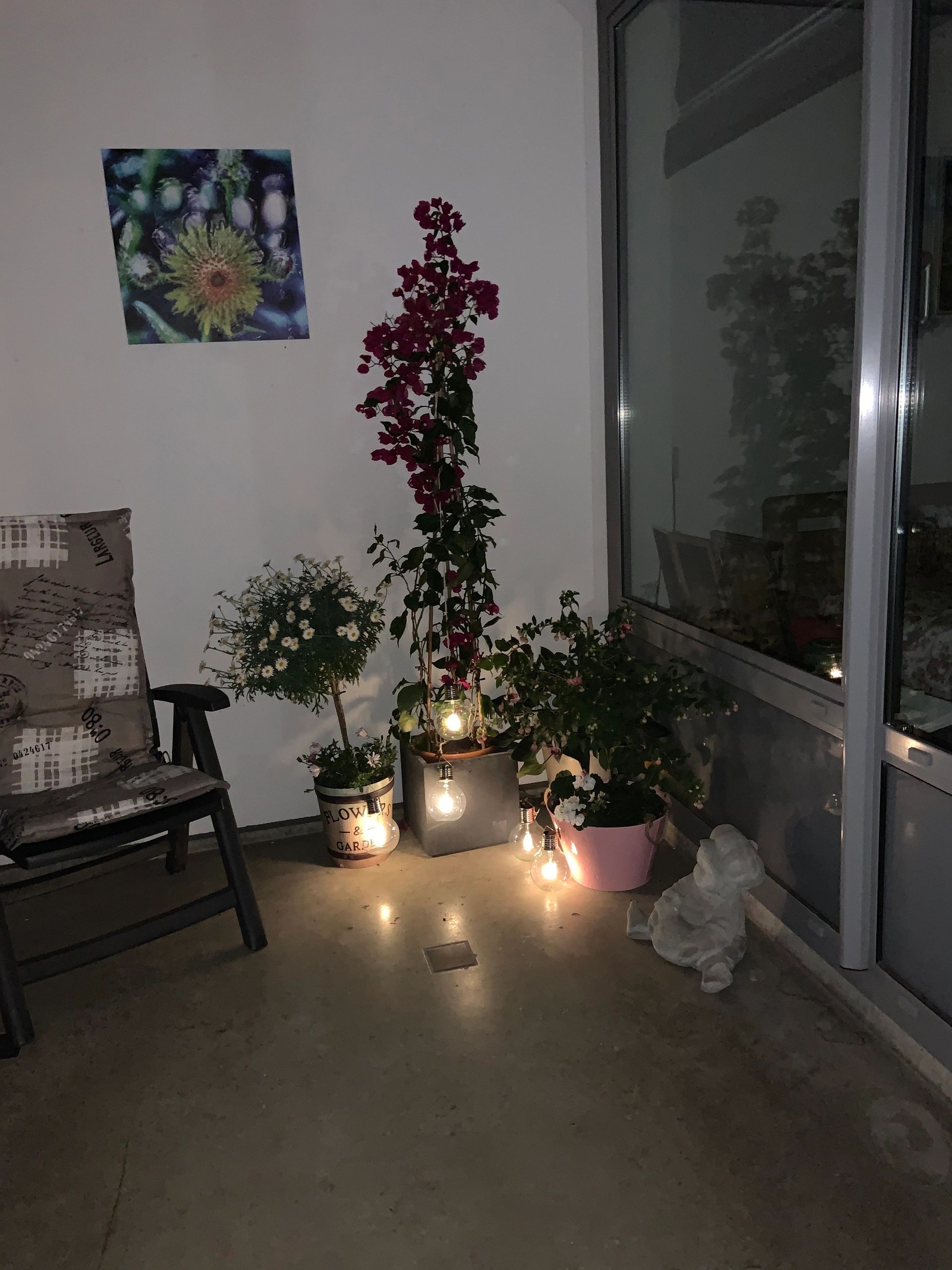 Solar filament lampen set van 4 Scoop met ophangklem