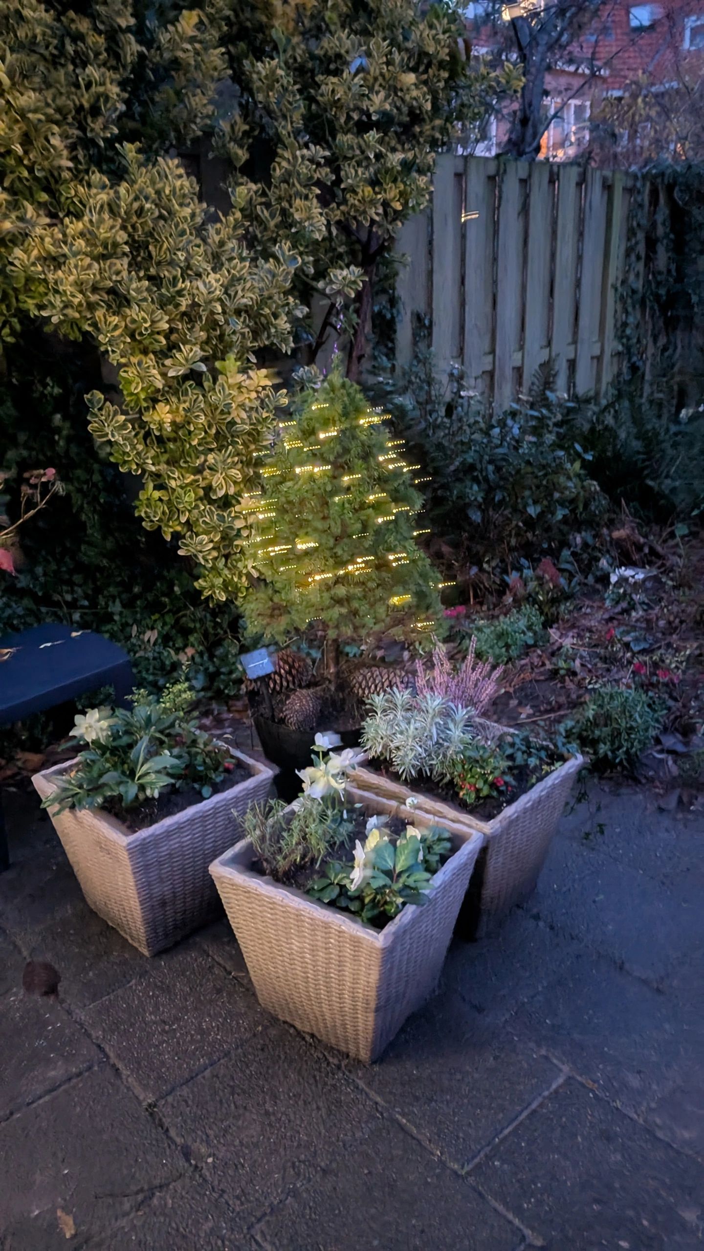 Solar kerstverlichting Holly - Solar feestverlichting met 100 leds - warm wit licht