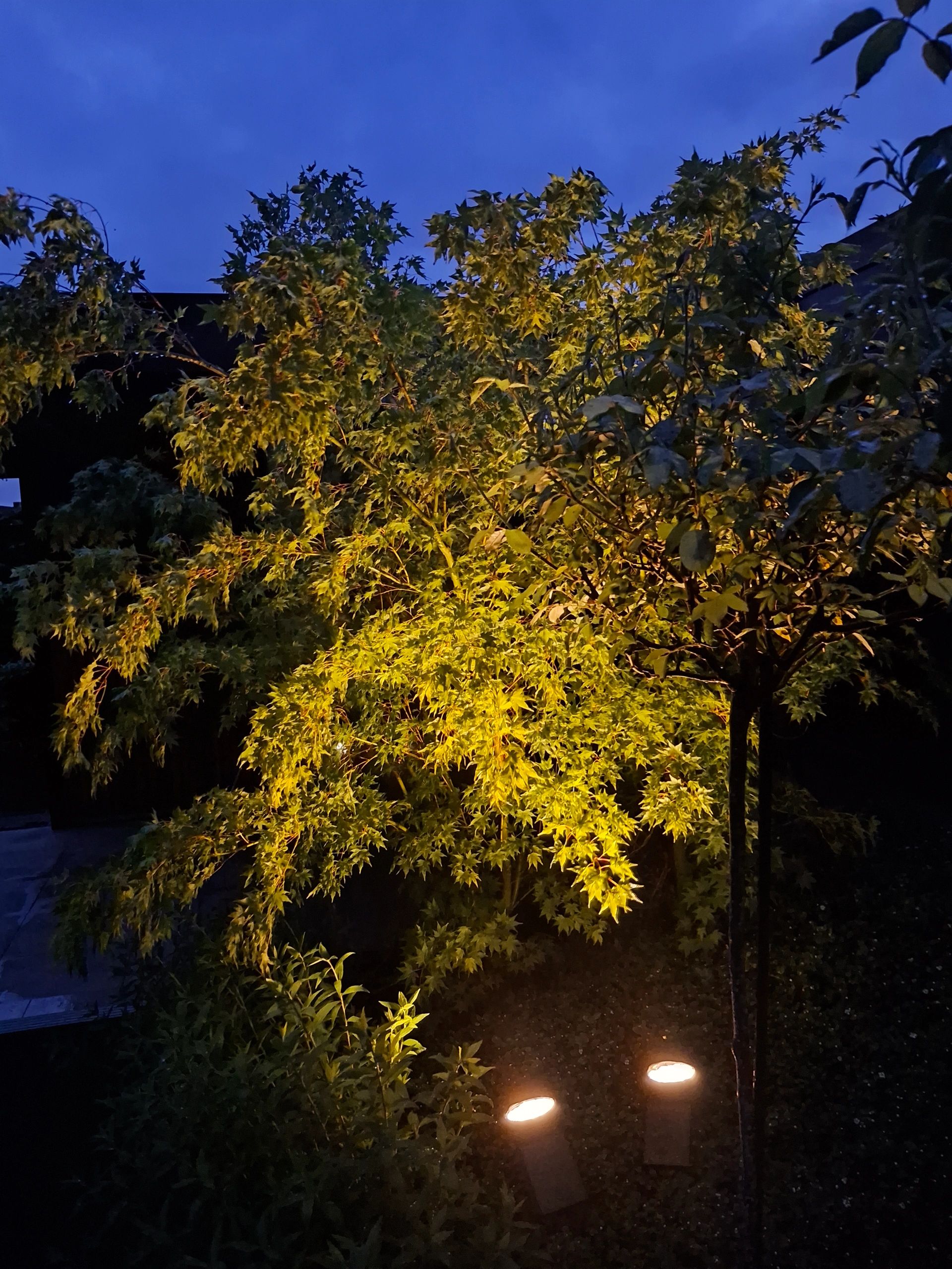 Solar wandspot Highlight voor wandmontage of grondspies - buitenlamp op zonne energie warm wit