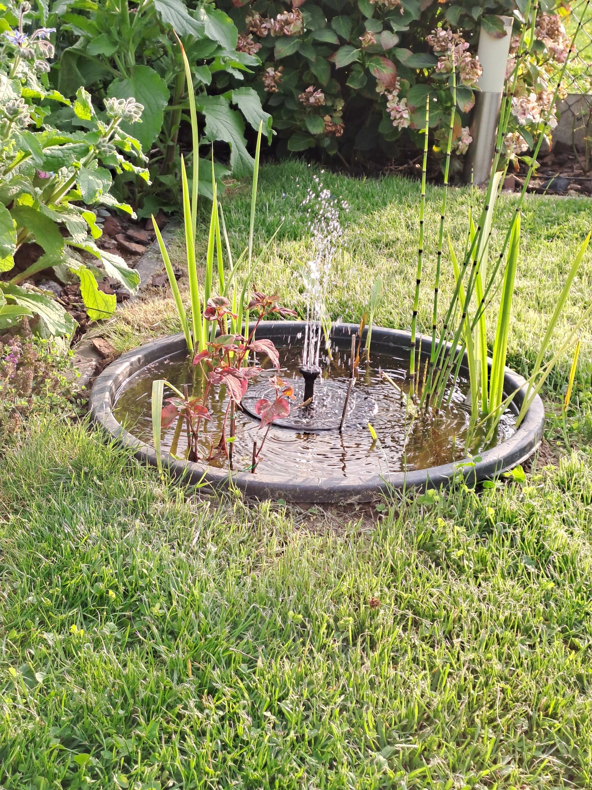 Solar fontein Jet - Fontein op zonne energie - Multicolor - Inclusief afstandsbediening