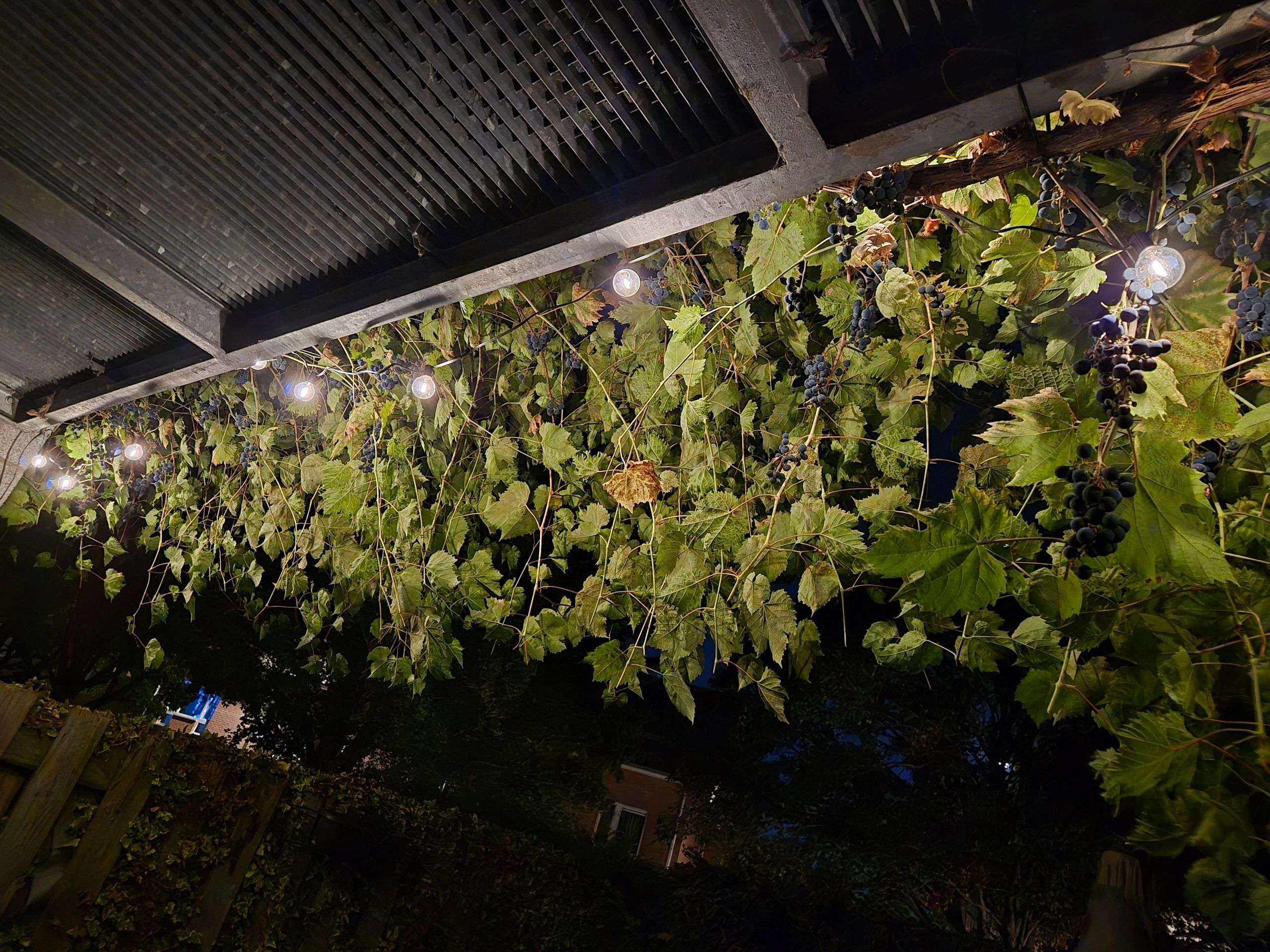Solar lichtslinger Chain | Met 25 warm witte led filament lampen