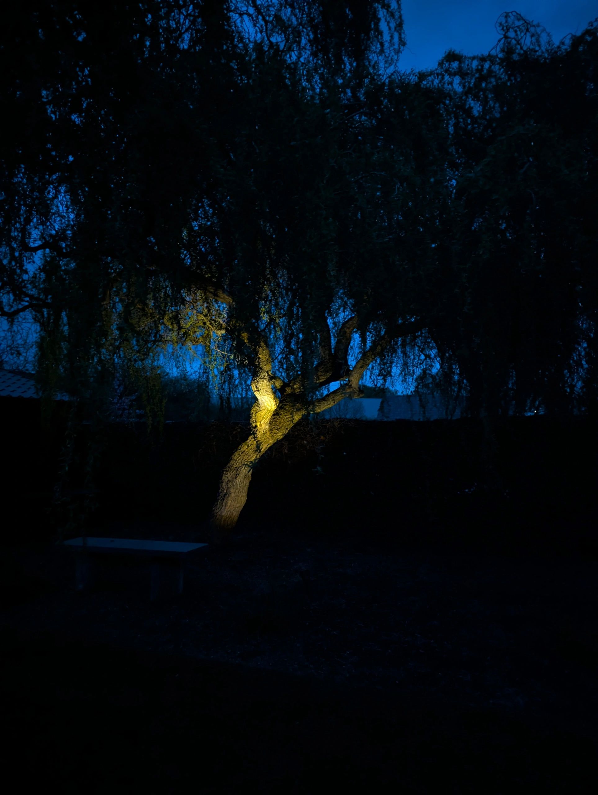 Solar spot Highlight voor wandmontage of grondspies warm wit voordeelset 2