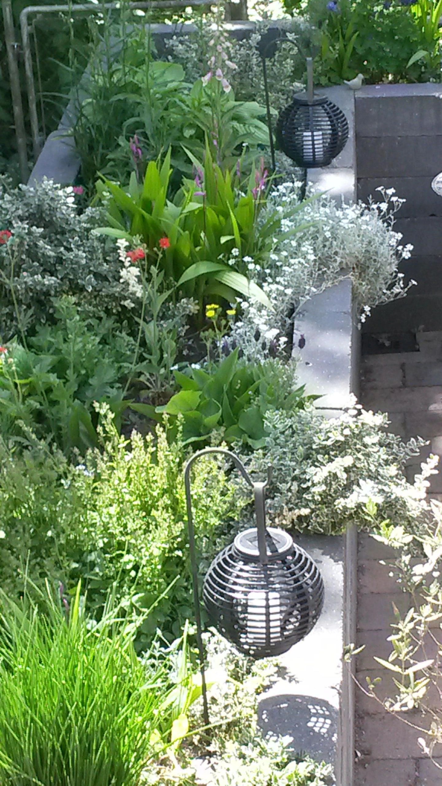 Vier stuks Solar Lantaarn Basket Medium en Small Rotanlook lamp op zonne energie