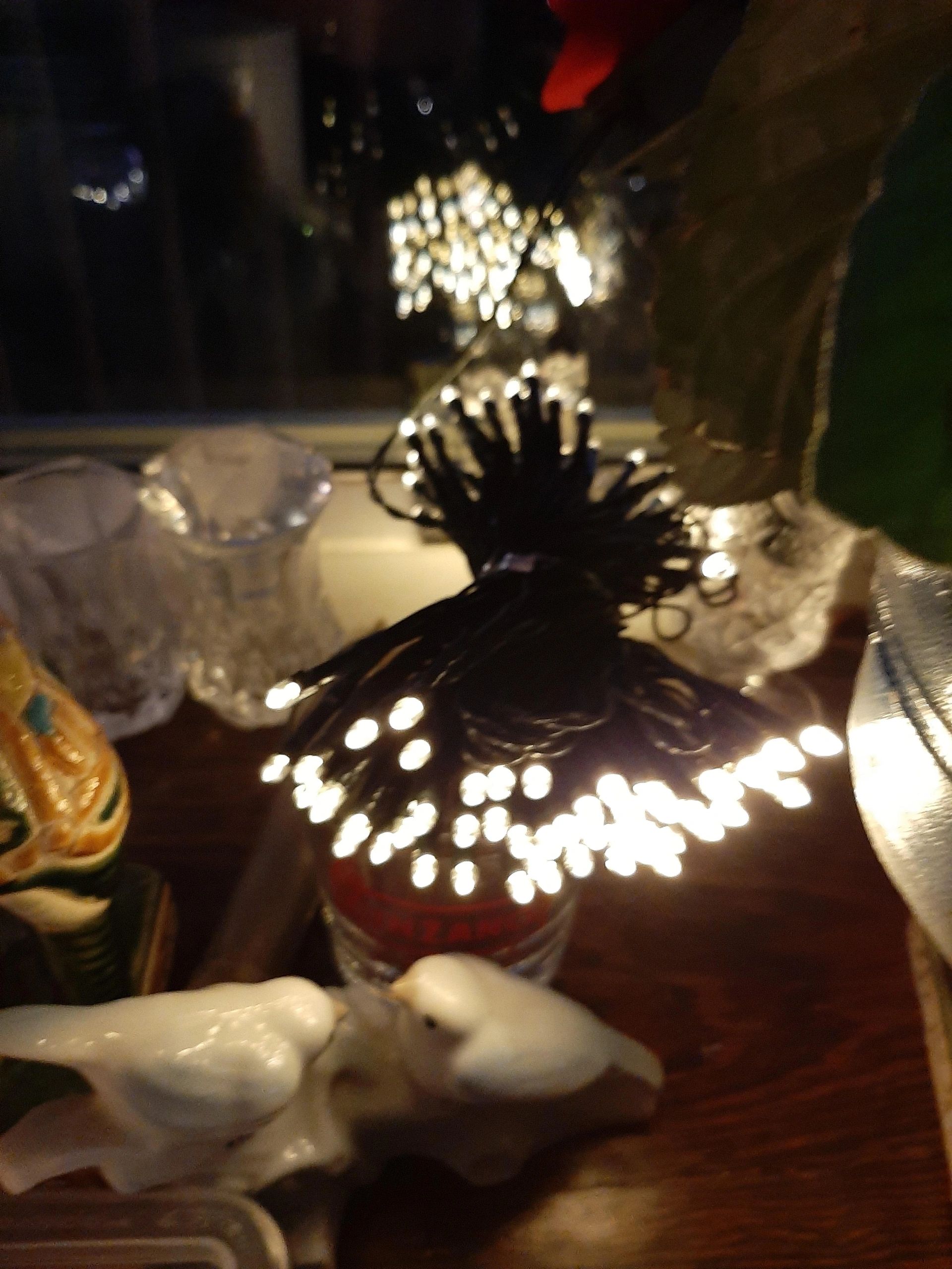 Solar kerstverlichting Holly - Solar feestverlichting met 100 leds - warm wit licht