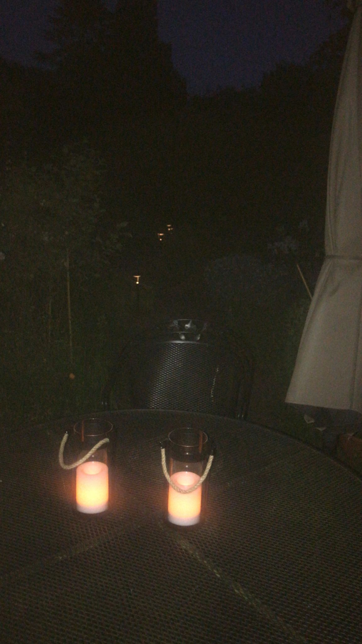 Solar priklamp Birdie zwart met warm wit licht