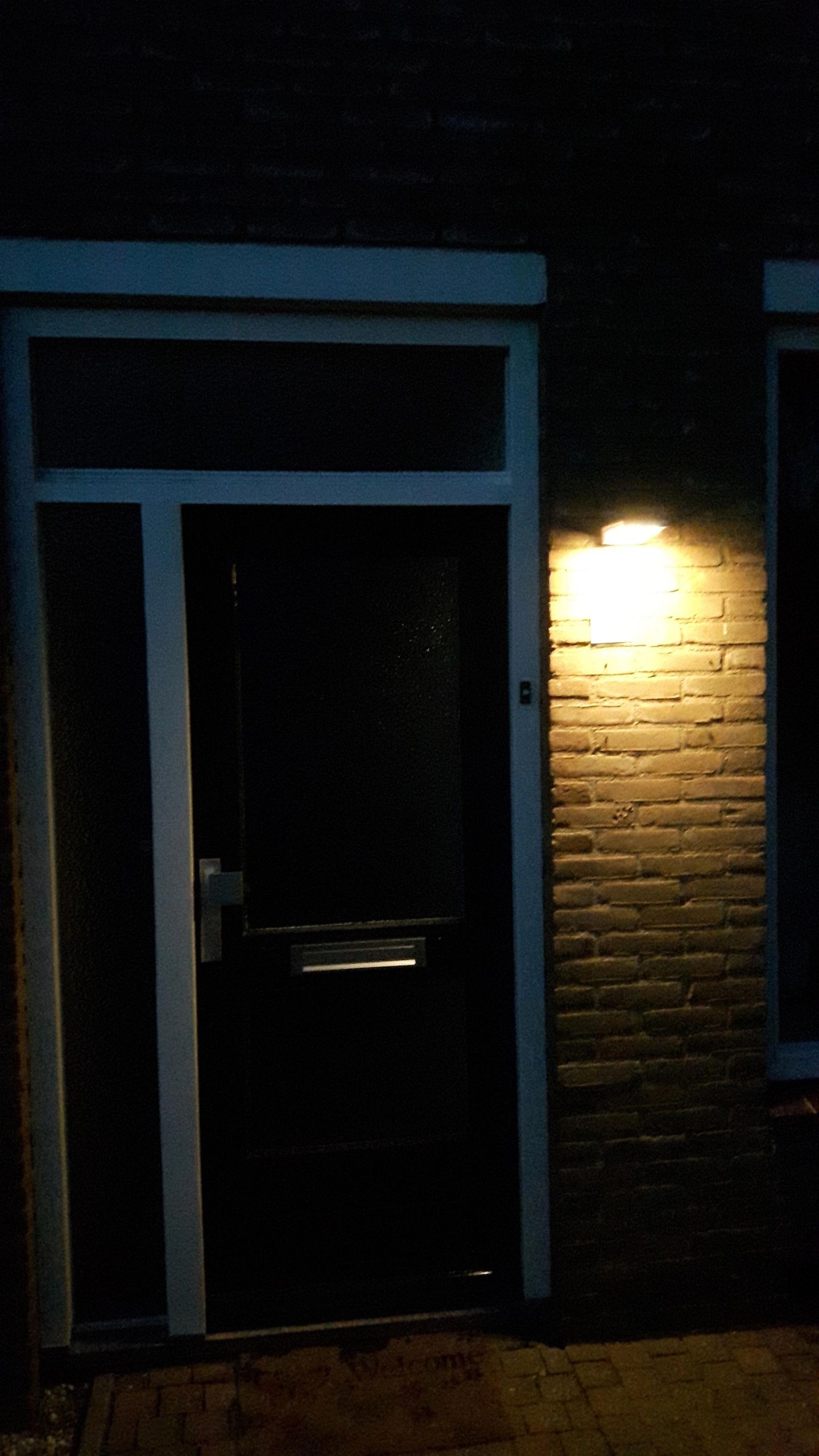 Solar wandlamp Slim II met 49 leds en bewegingsmelder RVS op zonne-energie