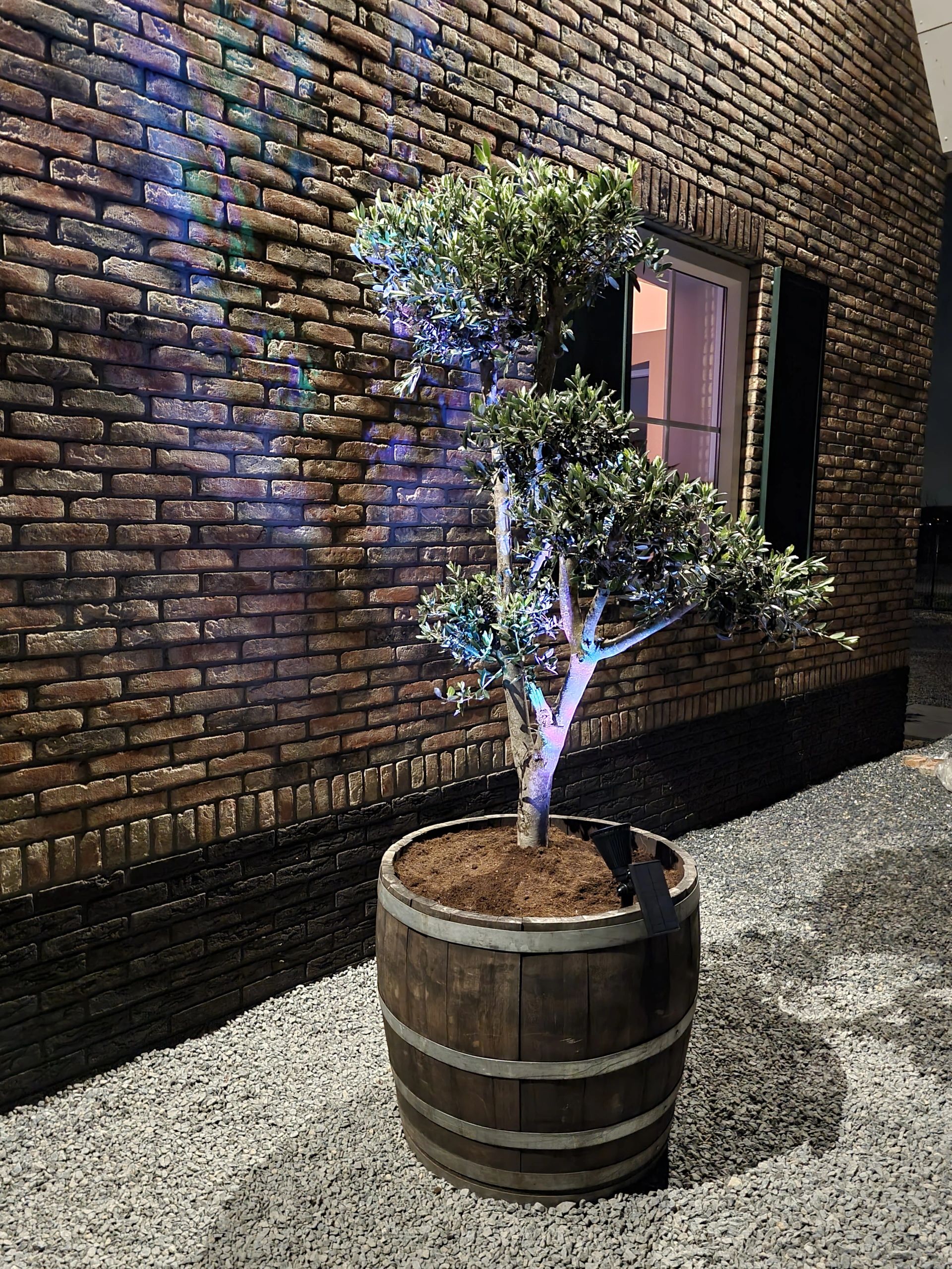 Solar spot Highlight RGB multicolor voor wandmontage of grondspies