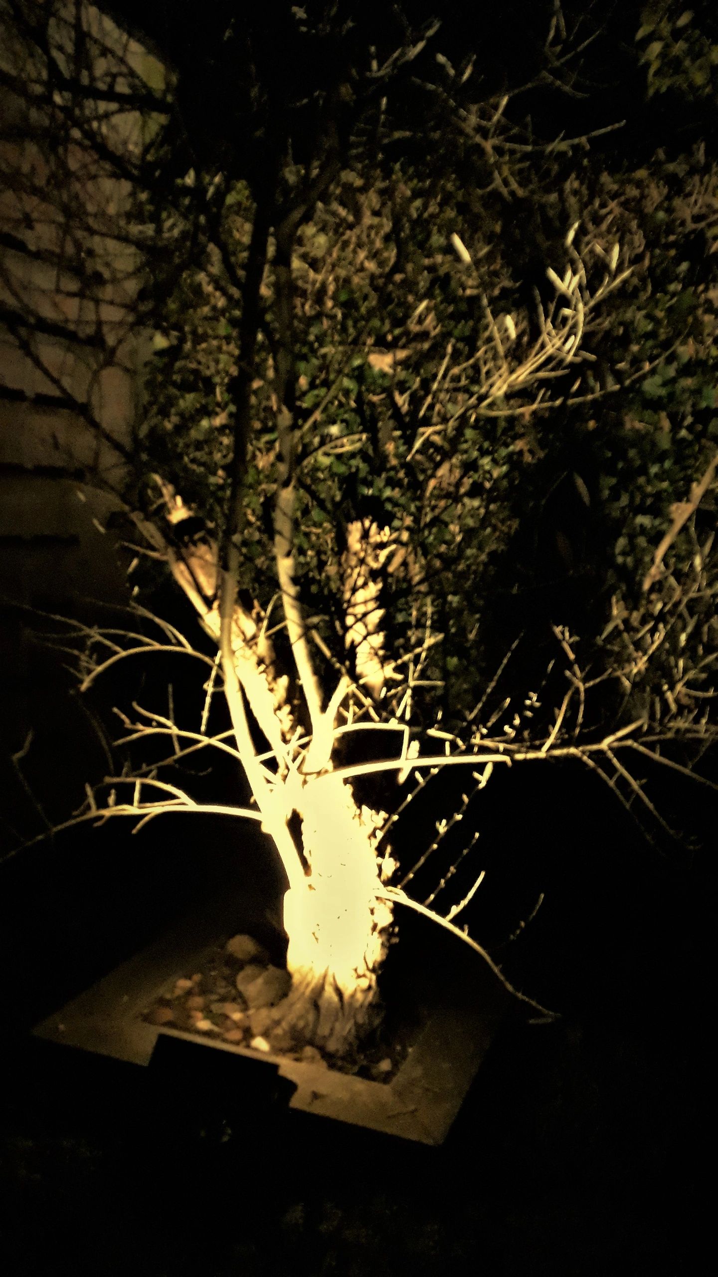 Solar priklamp Vision met twee spots en 5 lichtstanden