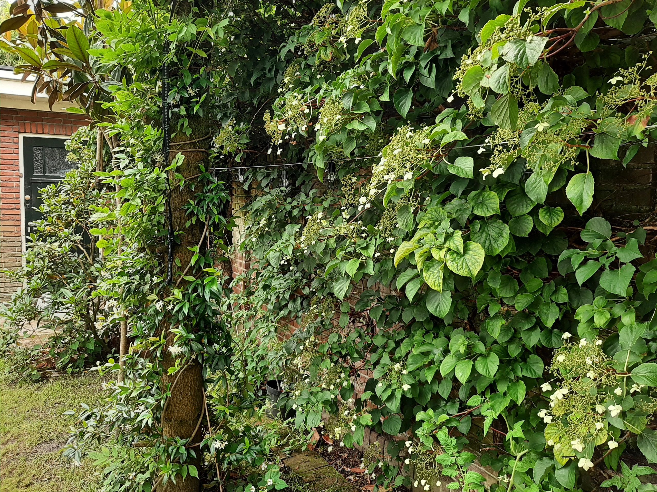 Solar lichtslinger Pendel met 8 warm witte LED filament lampen