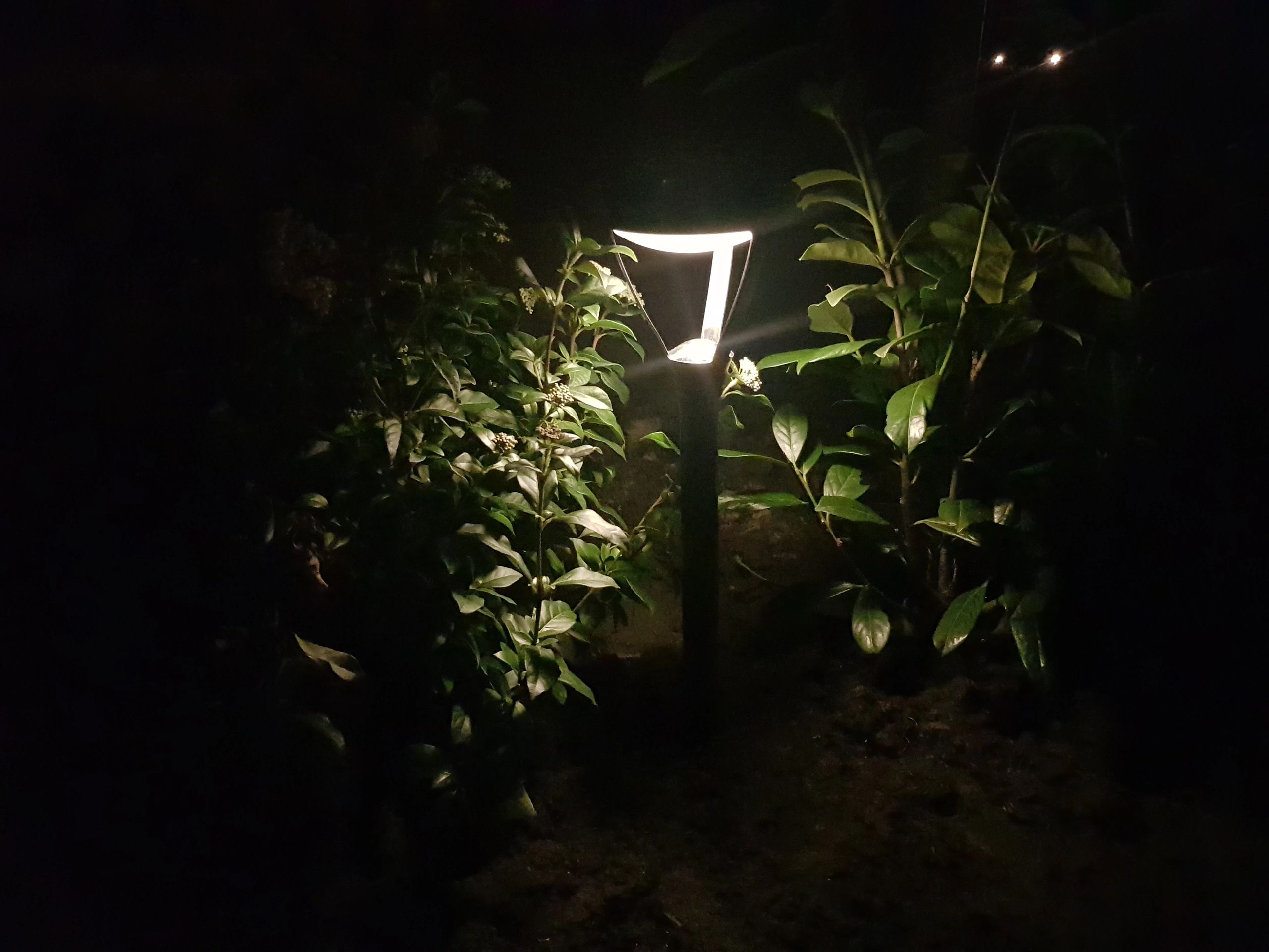 Solar priklamp Birdie zwart met warm wit licht