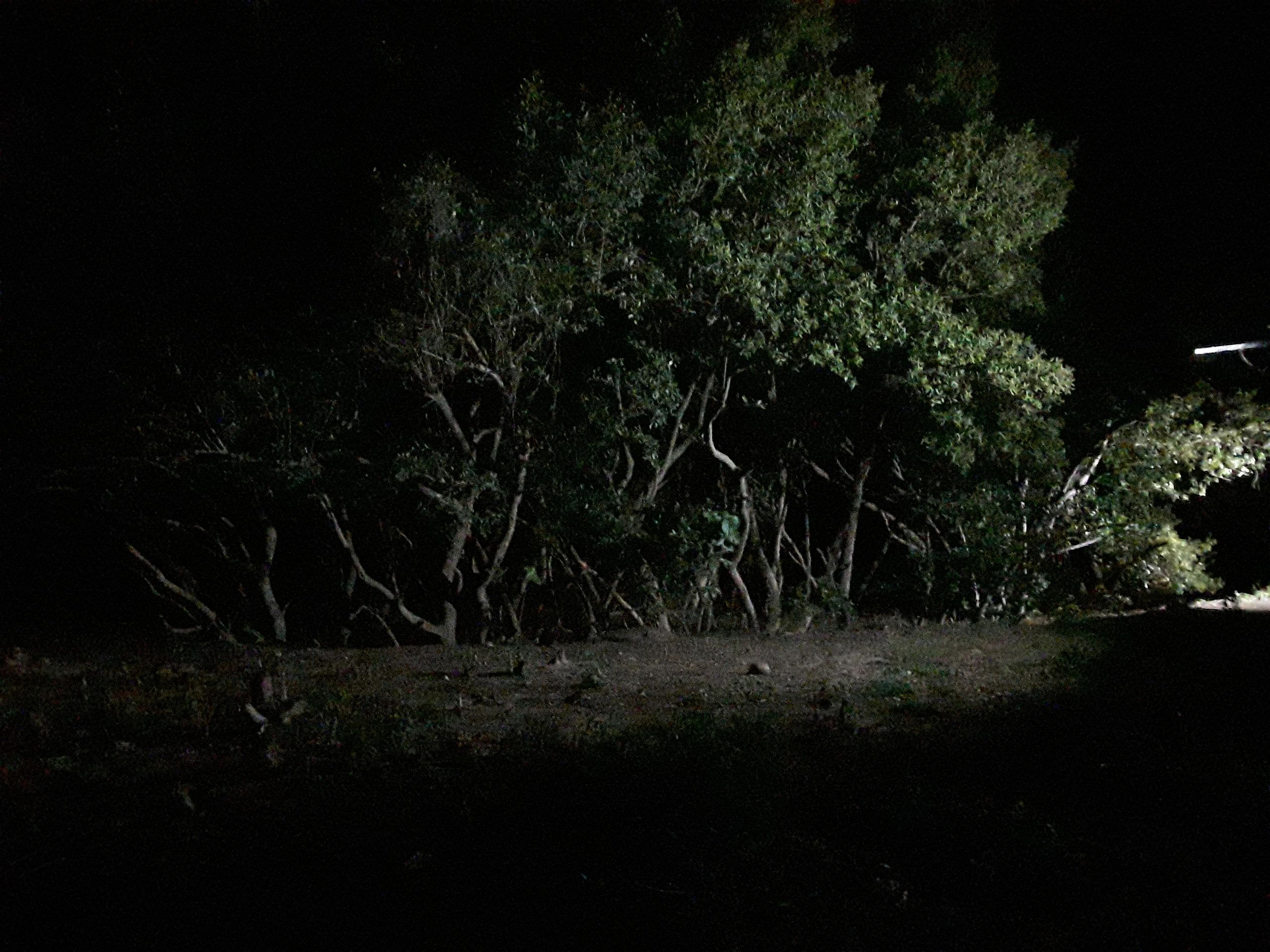 Solar wandlamp Capital IV met los zonnepaneel