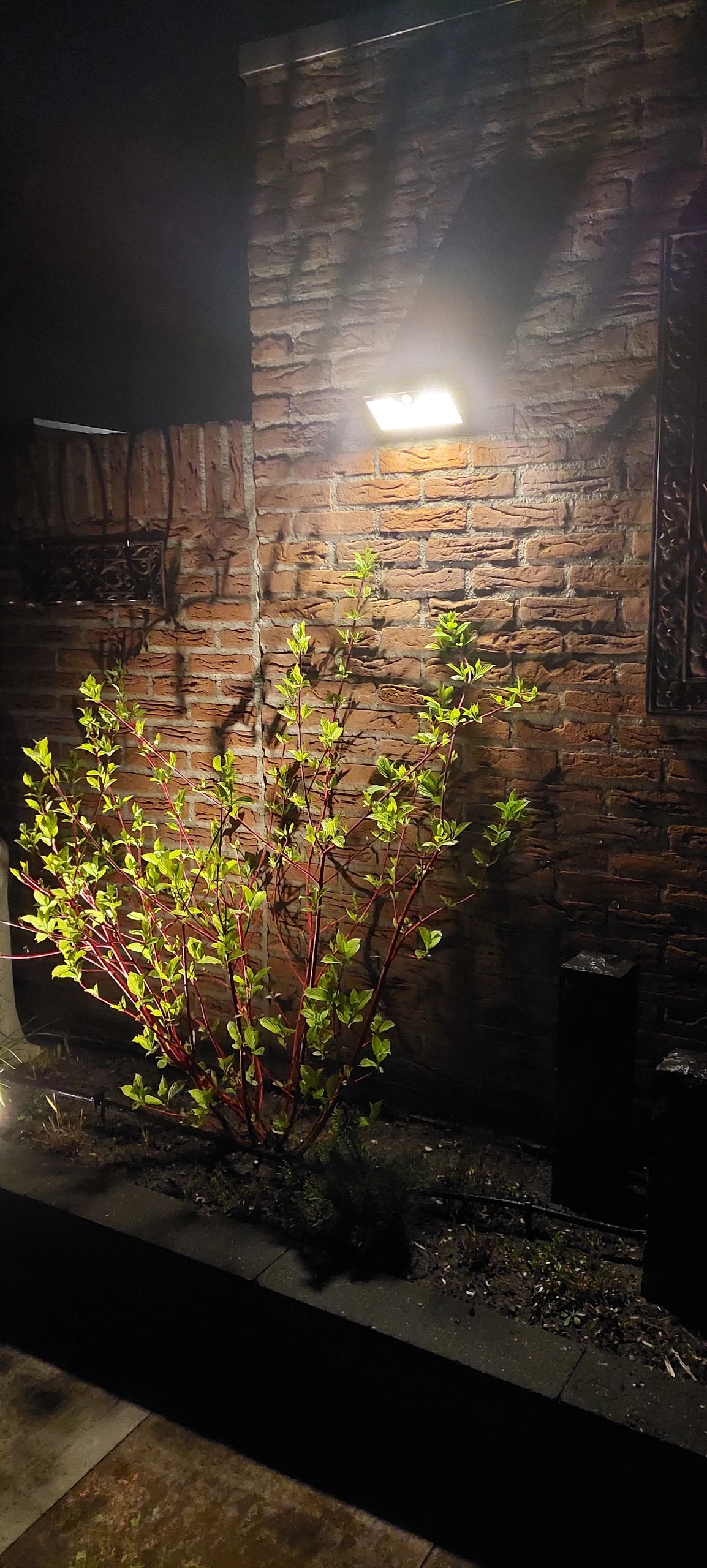 Solar buitenlamp wandlamp Motion IV met bewegingsmelder op zonne energie