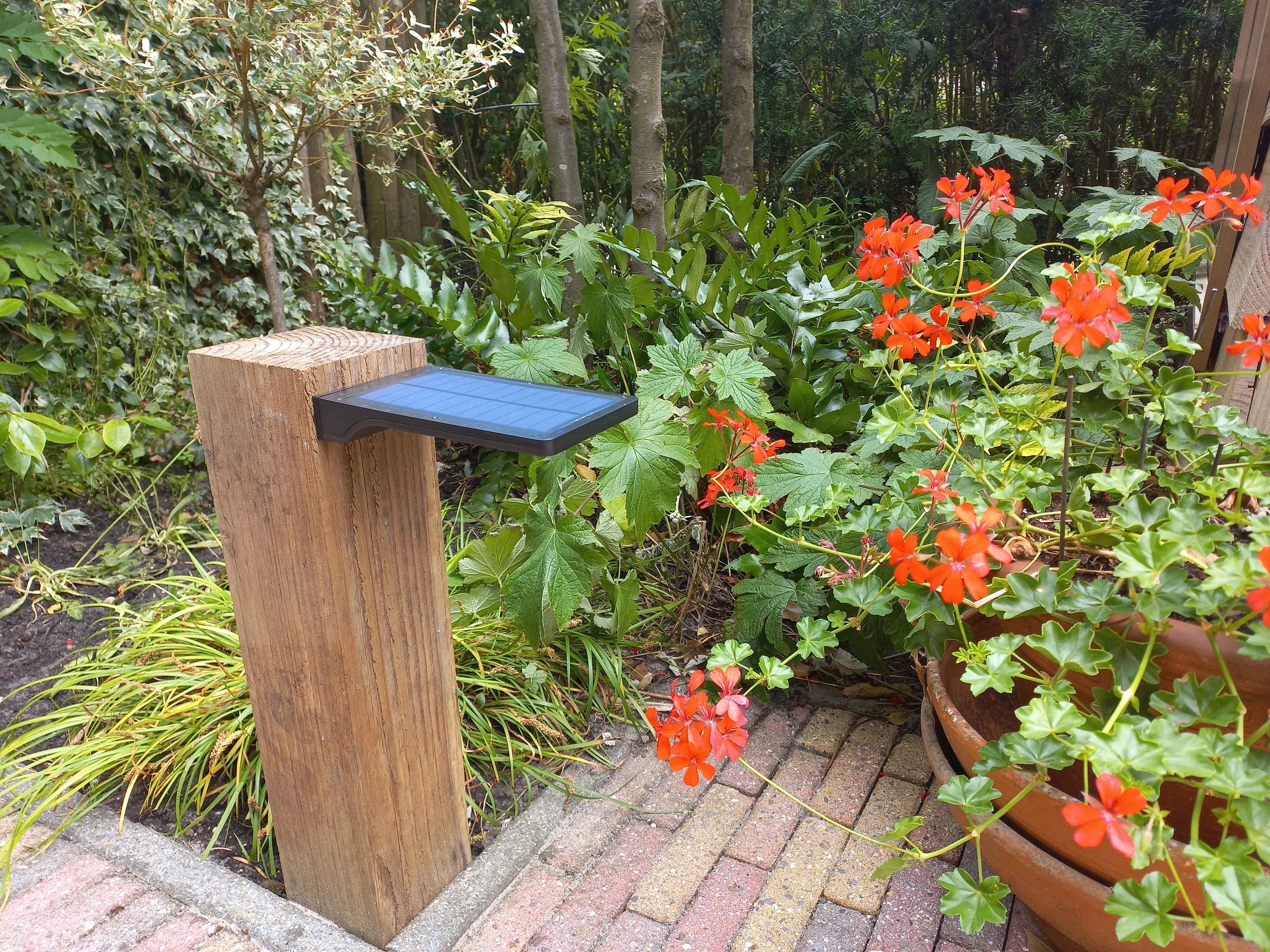 Solar wandlamp Slim met 36 leds en bewegingsmelder Zwart op zonne energie