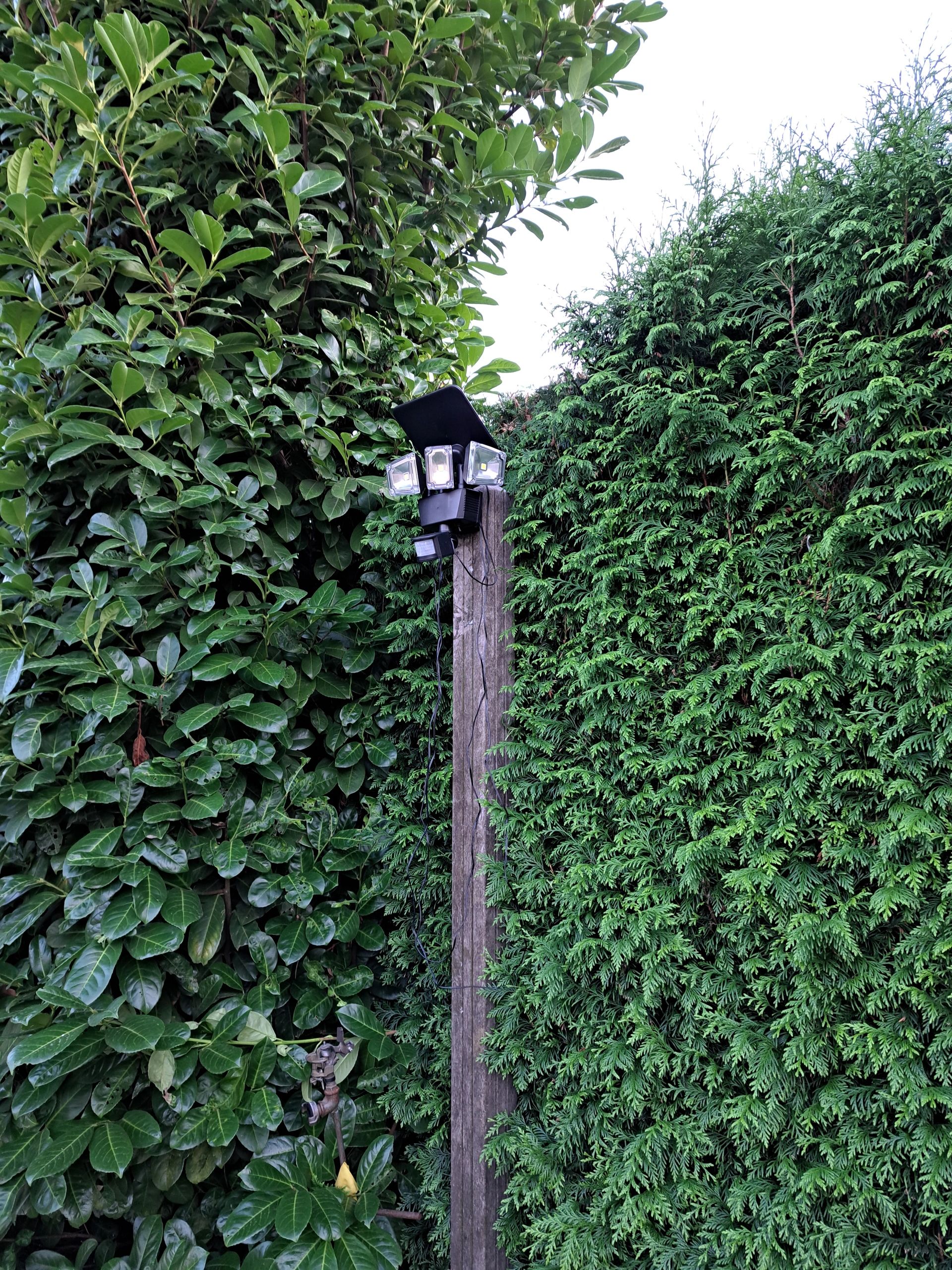 Solar RVS buitenlamp Glare met bewegingssensor - Moderne wandlamp op zonne-energie