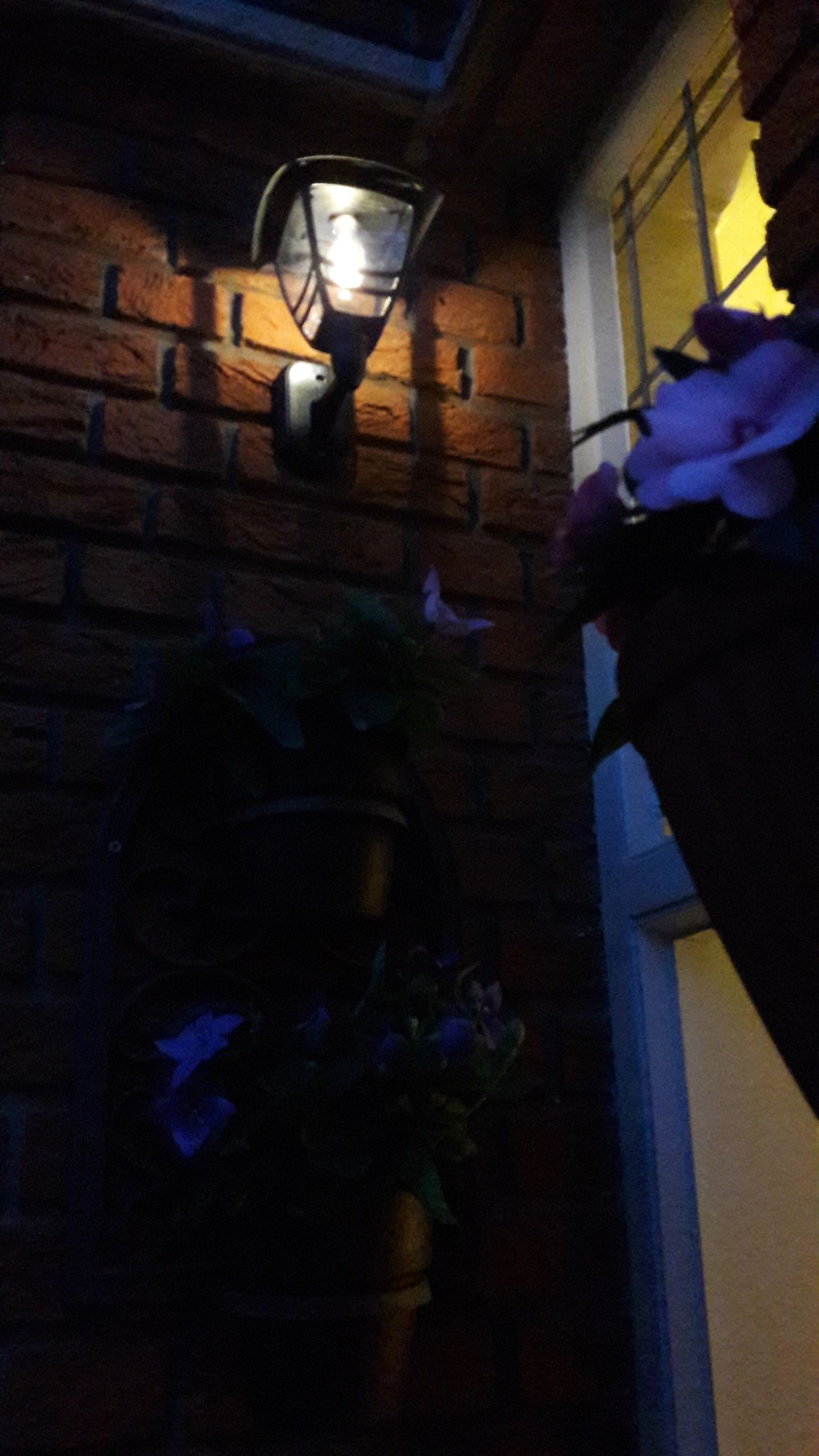 Solar wandlamp Prickle met warm wit licht set van 2