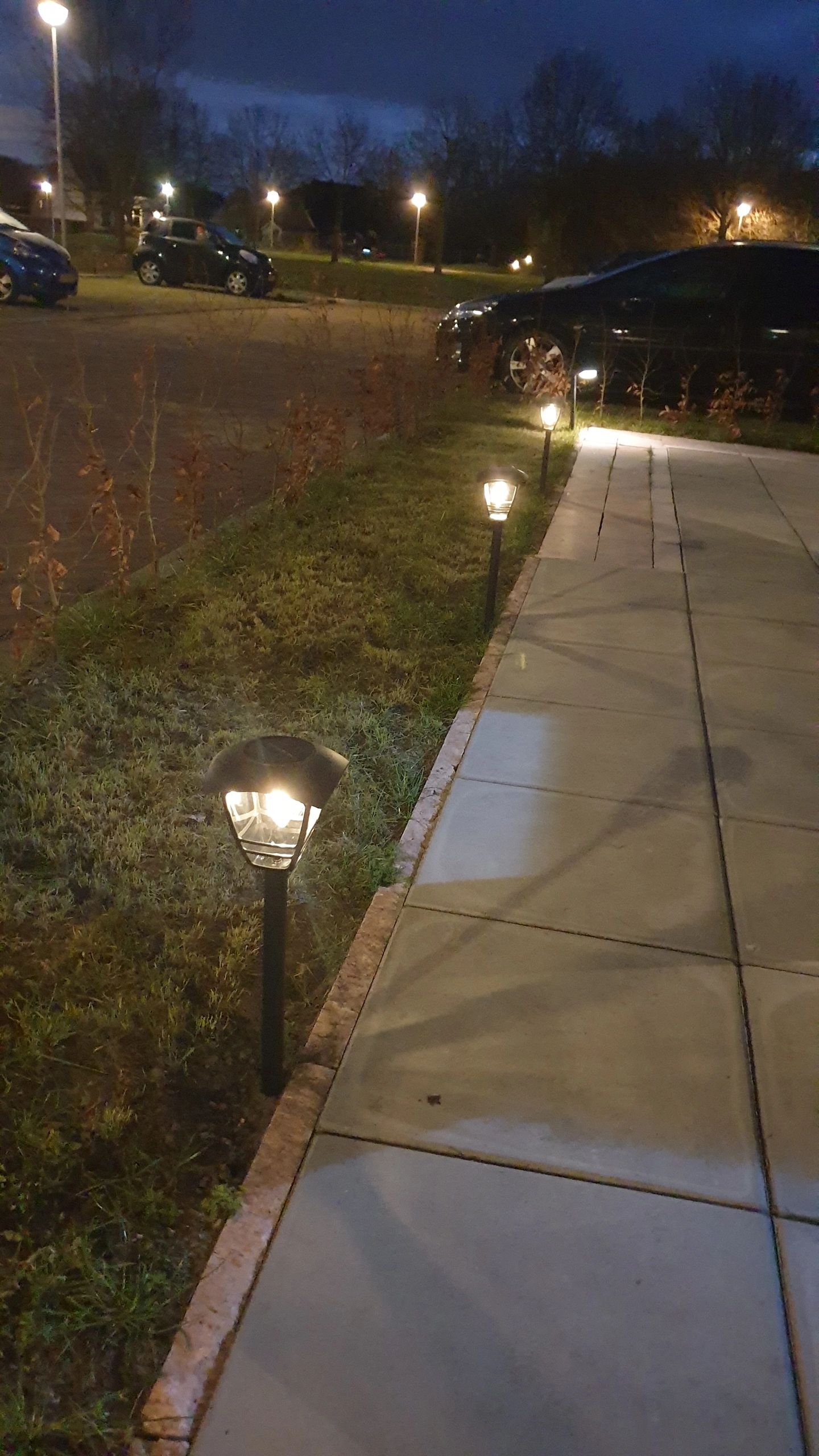 Solar priklamp Prickle met warm wit licht voordeelset van 4