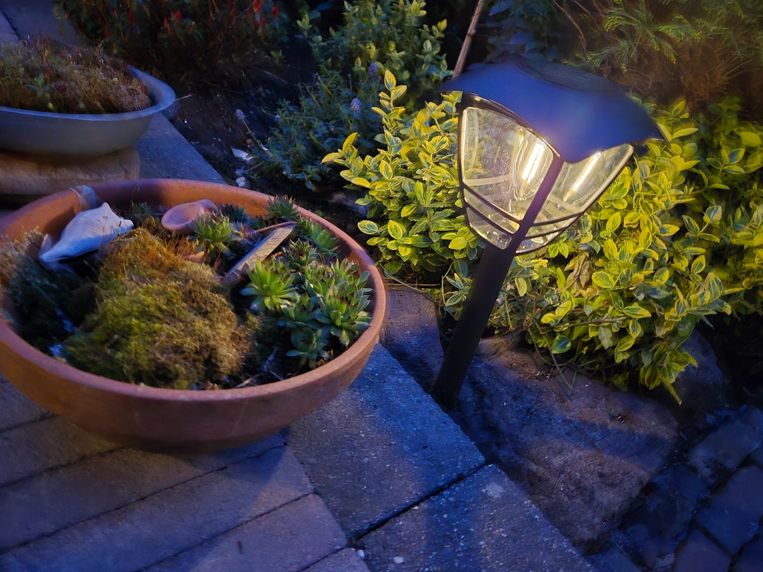 Solar priklamp Prickle met warm wit licht voordeelset van 4