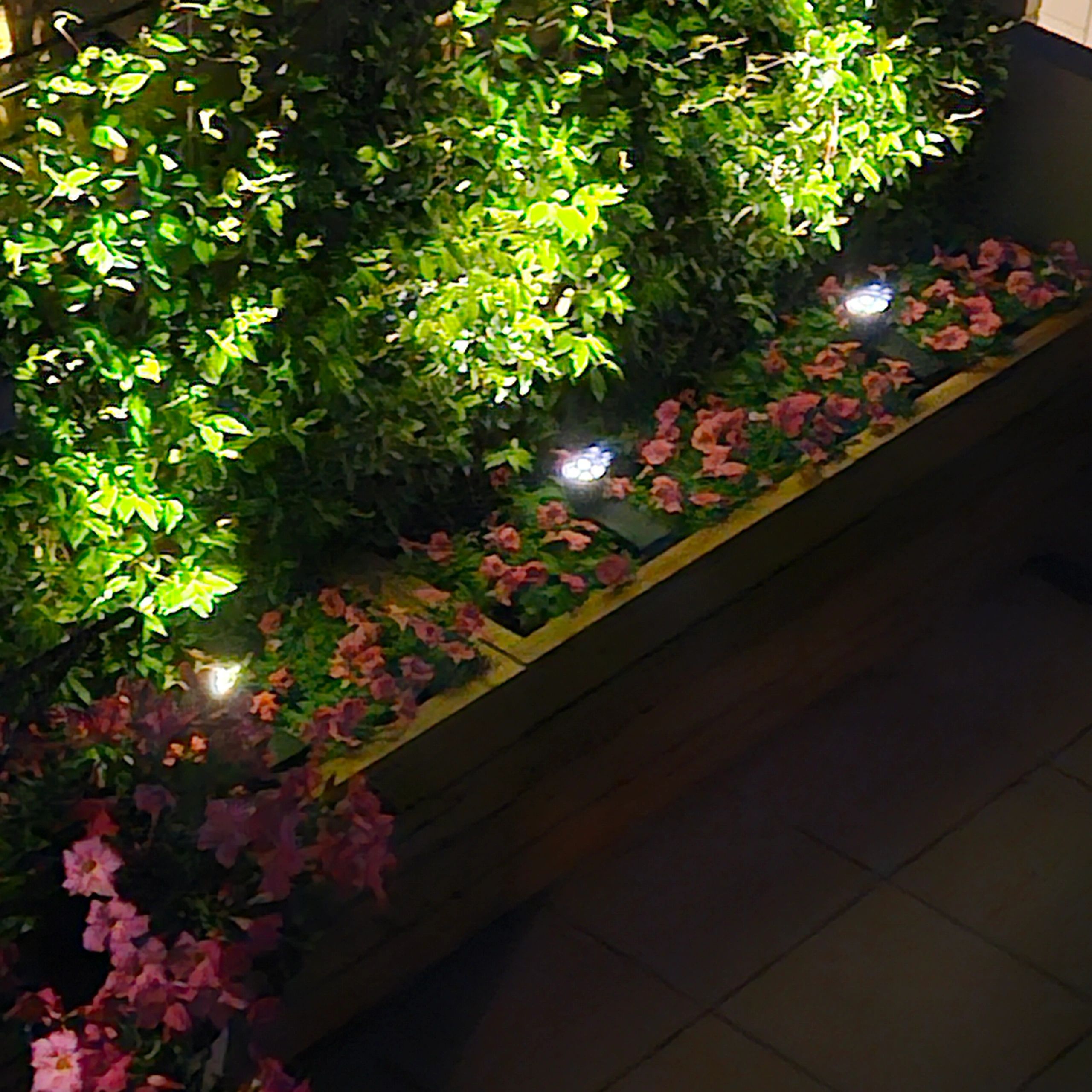 Solar spot Highlight voor wandmontage of grondspies warm wit voordeelset 3
