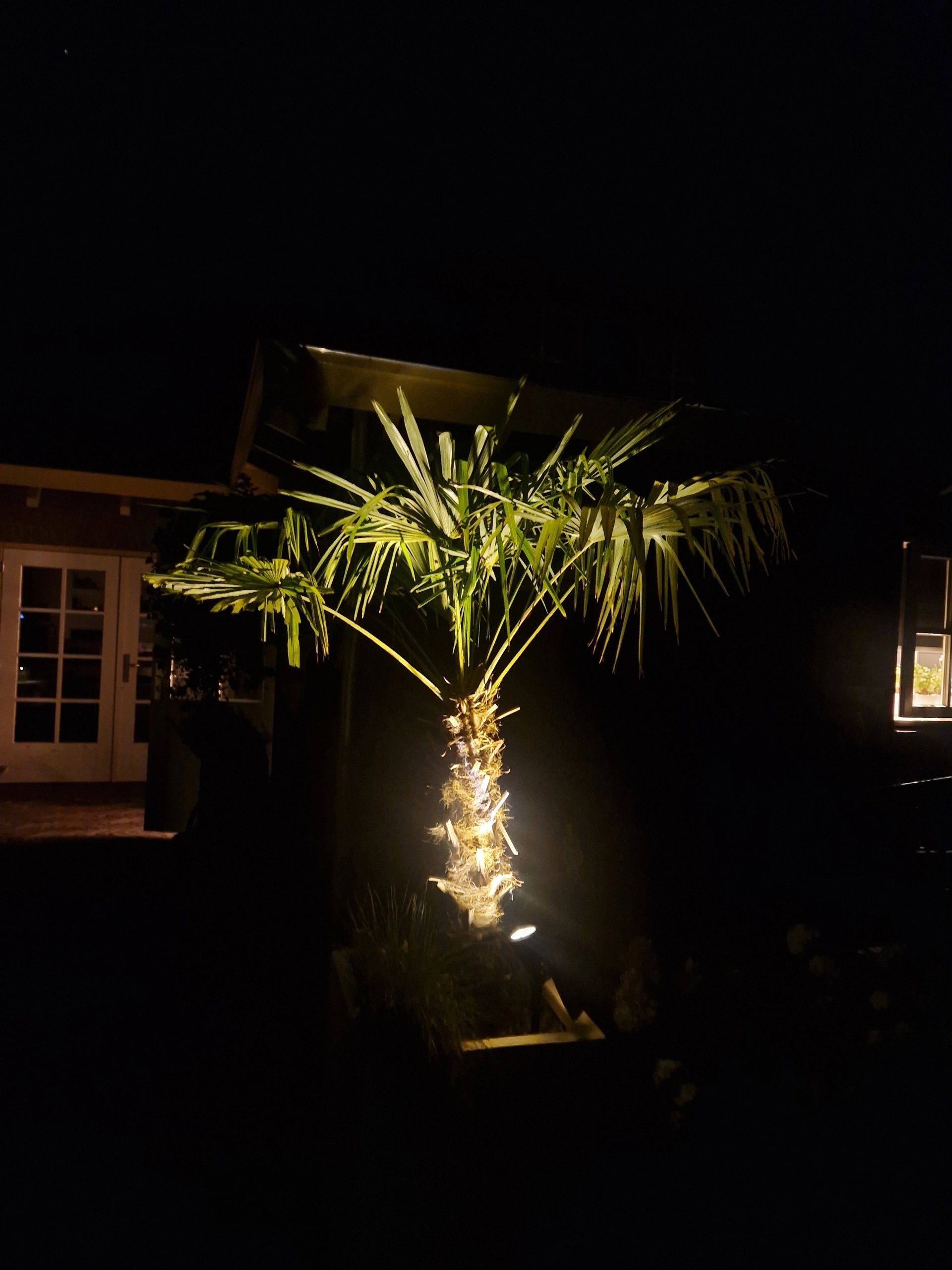 Solar wandspot Highlight voor wandmontage of grondspies - buitenlamp op zonne energie warm wit