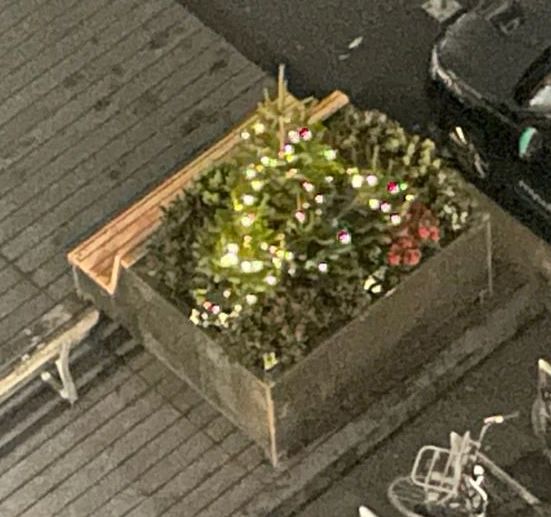 Solar kerstverlichting Holly - Solar feestverlichting met 100 leds - warm wit licht