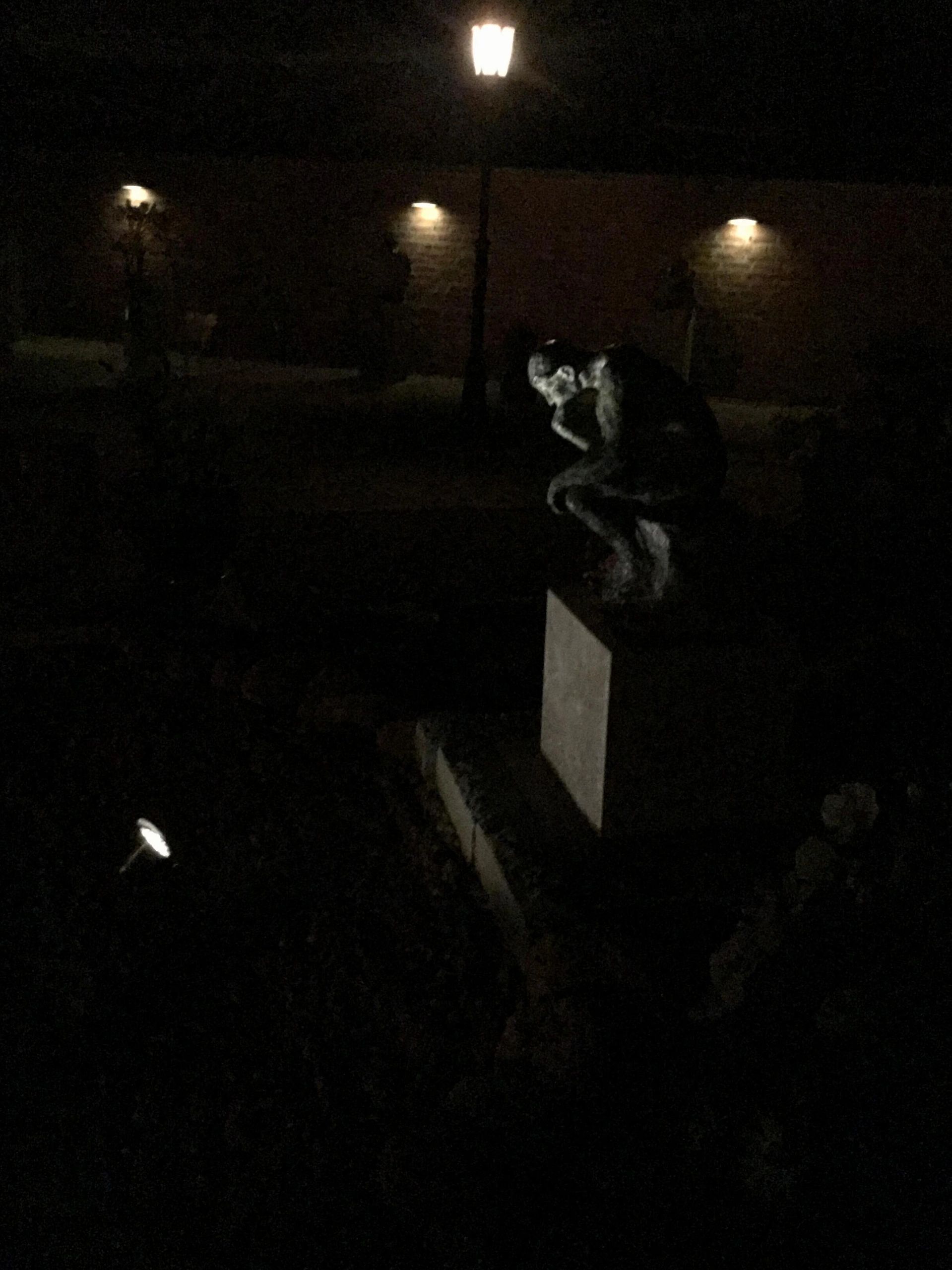 Solar spot Flood voor wandmontage of grondspies - buitenlamp op zonne energie