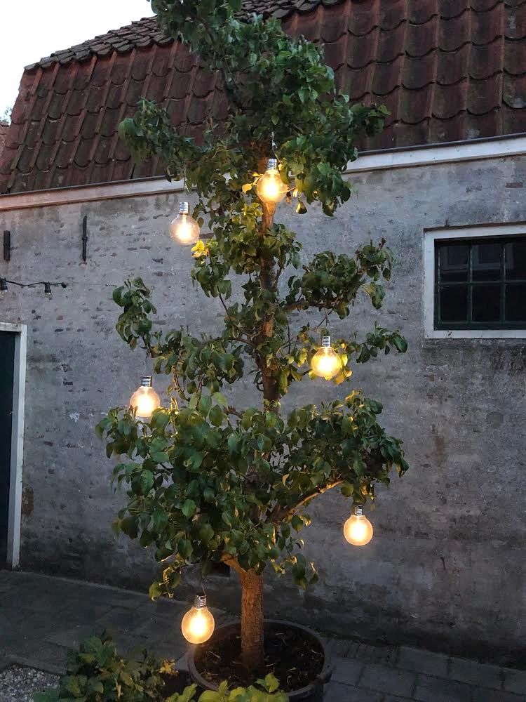 Solar filament lampen set van 4 Scoop met ophangklem