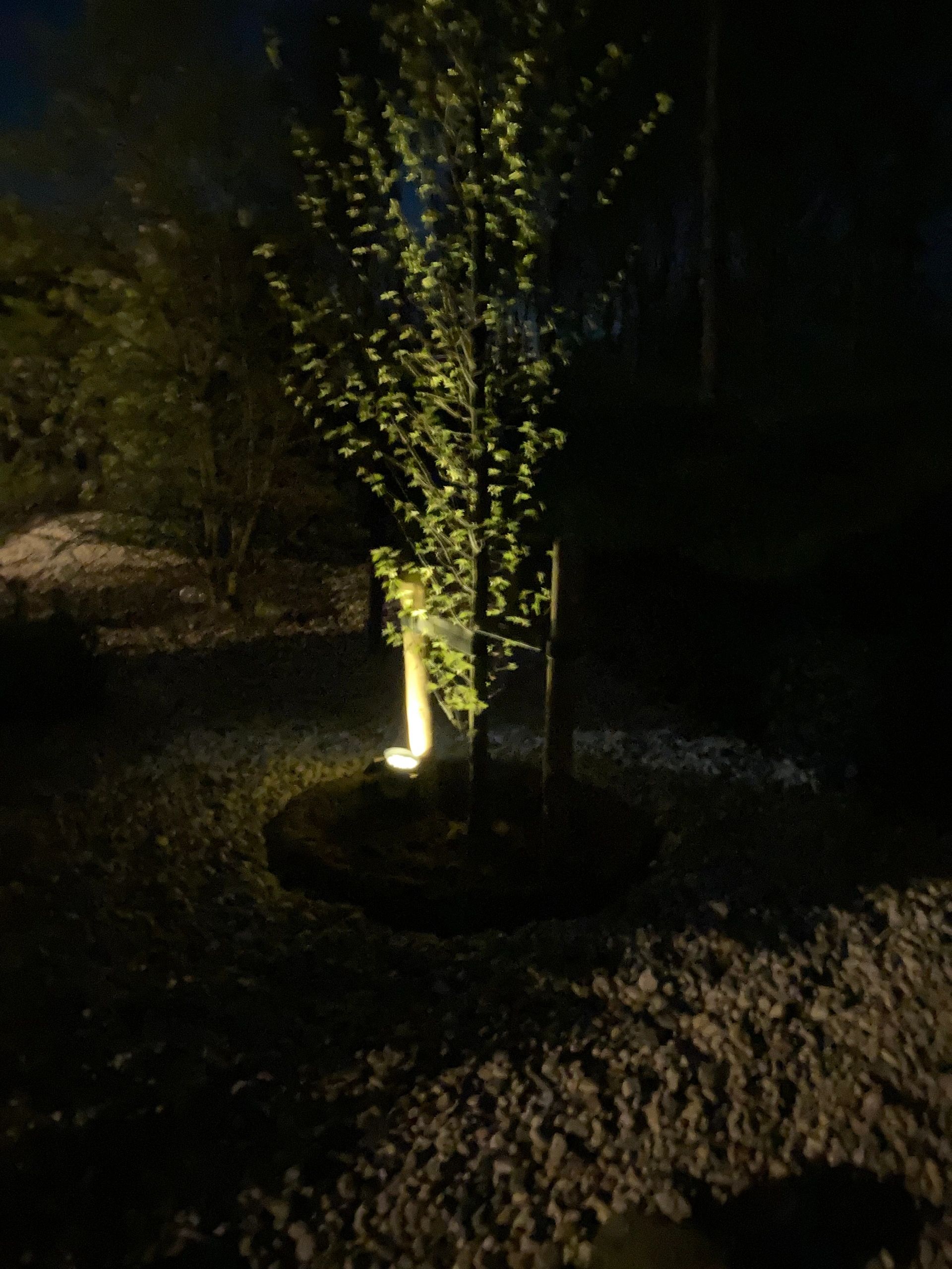 Solar spot Flood voor wandmontage of grondspies - buitenlamp op zonne energie