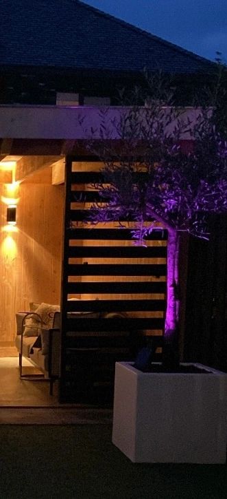 Slimme solar spot Highlight RGB met grondspies - Bedienen via de Smart Life app