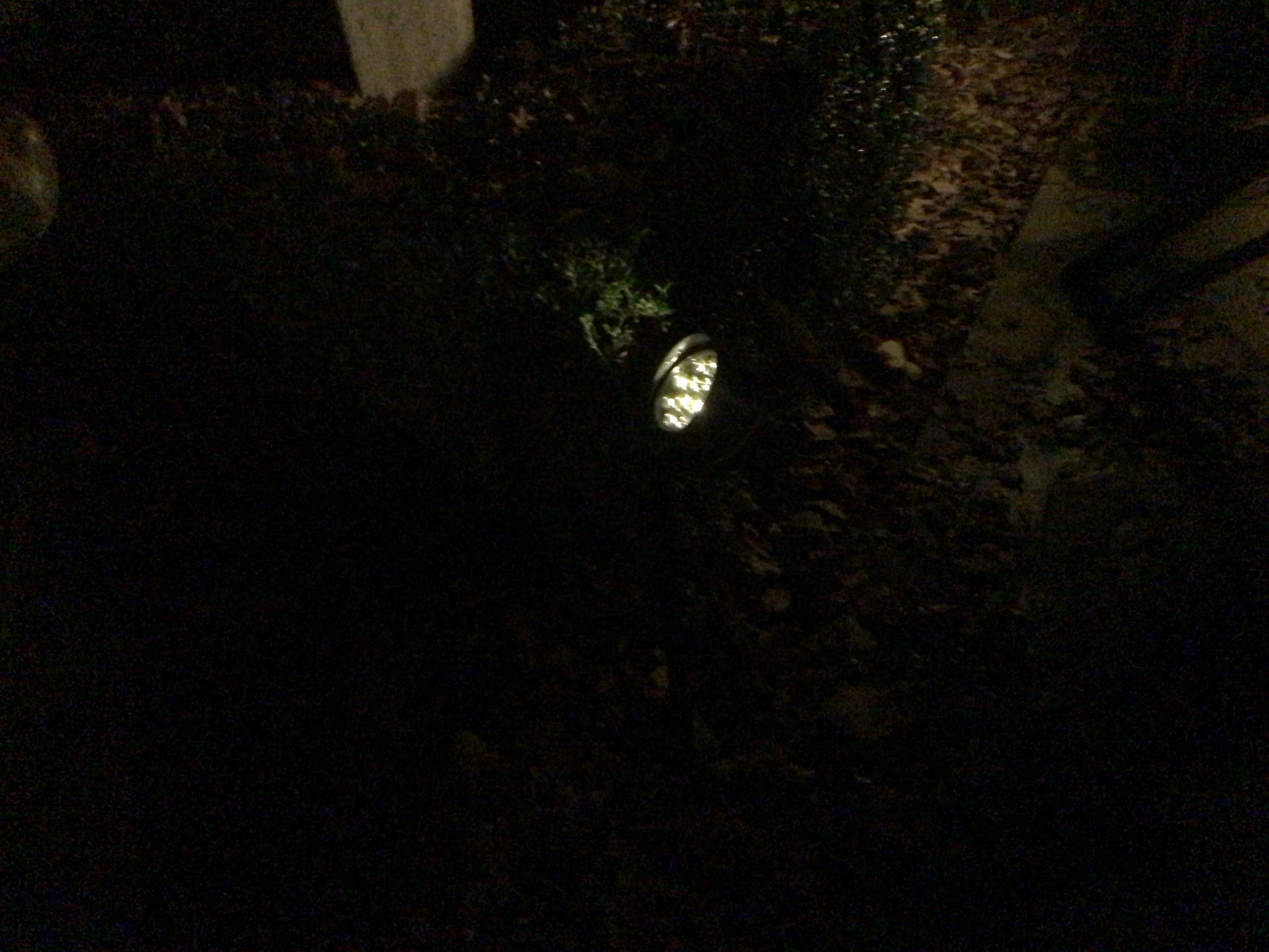 Solar spot Flood voor wandmontage of grondspies - buitenlamp op zonne energie