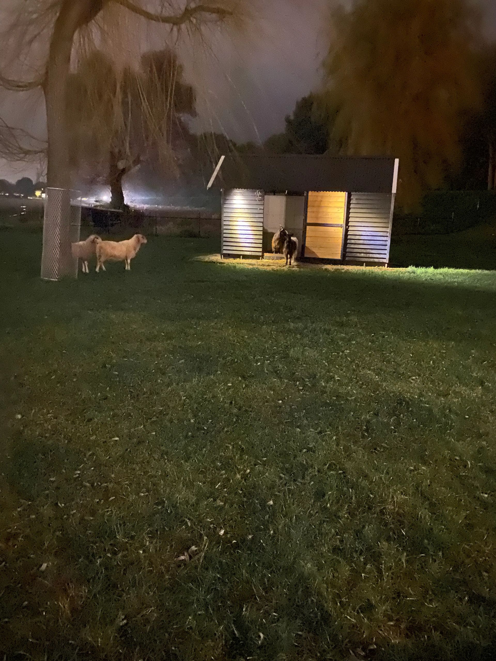 Solar wandspot Heads complete set met twee spots en los solarpaneel