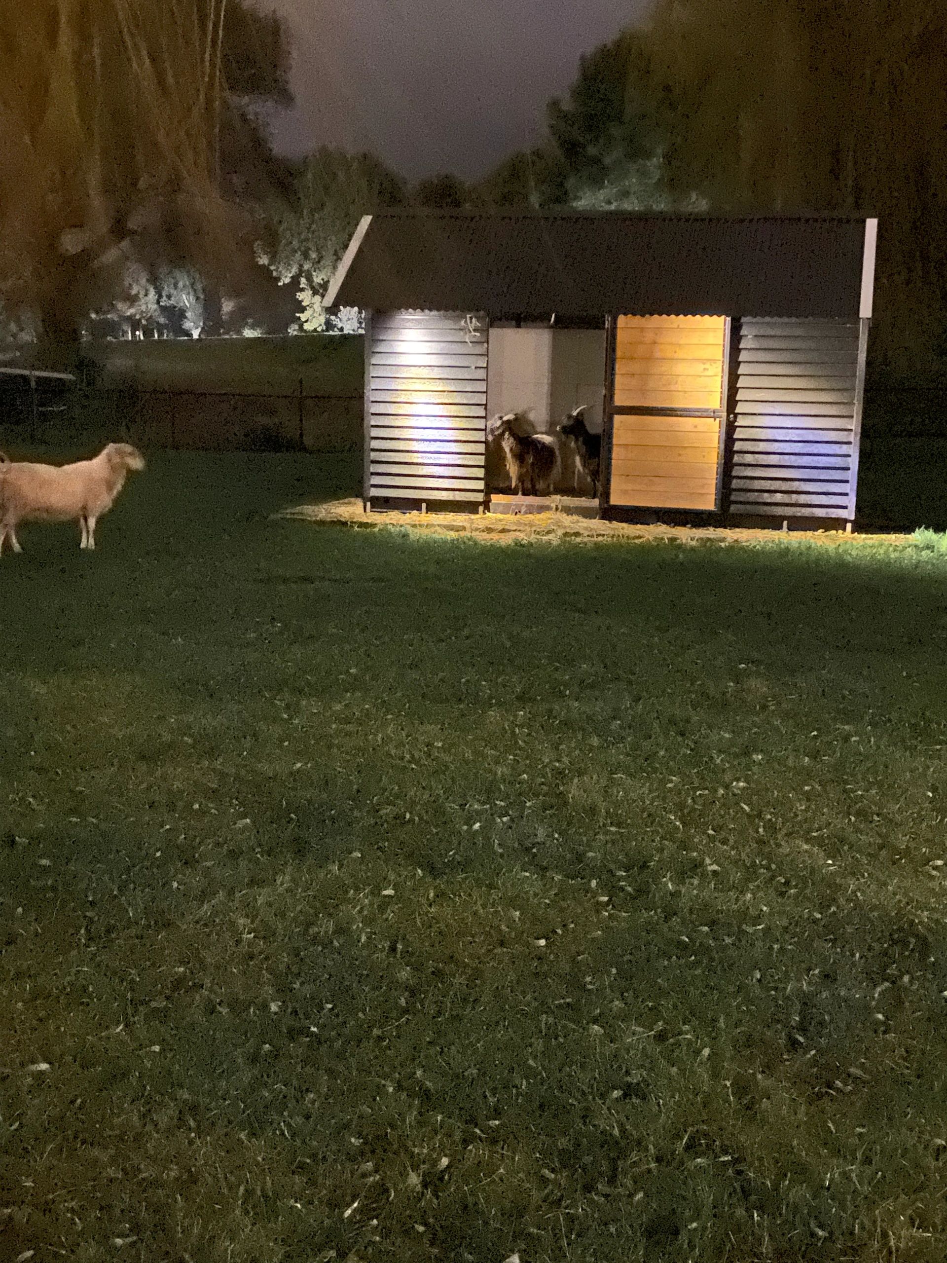 Solar wandspot Heads complete set met twee spots en los solarpaneel