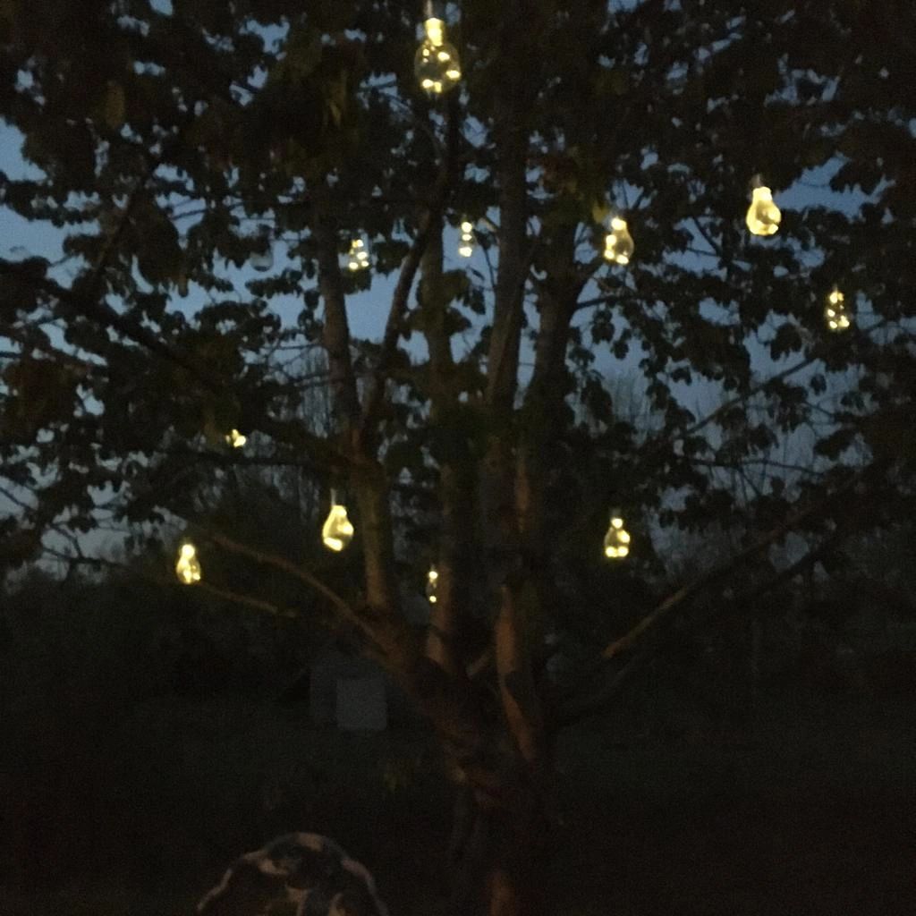 Solar LED lamp Eddy gloeilamp deco - set van 8 - op zonne energie