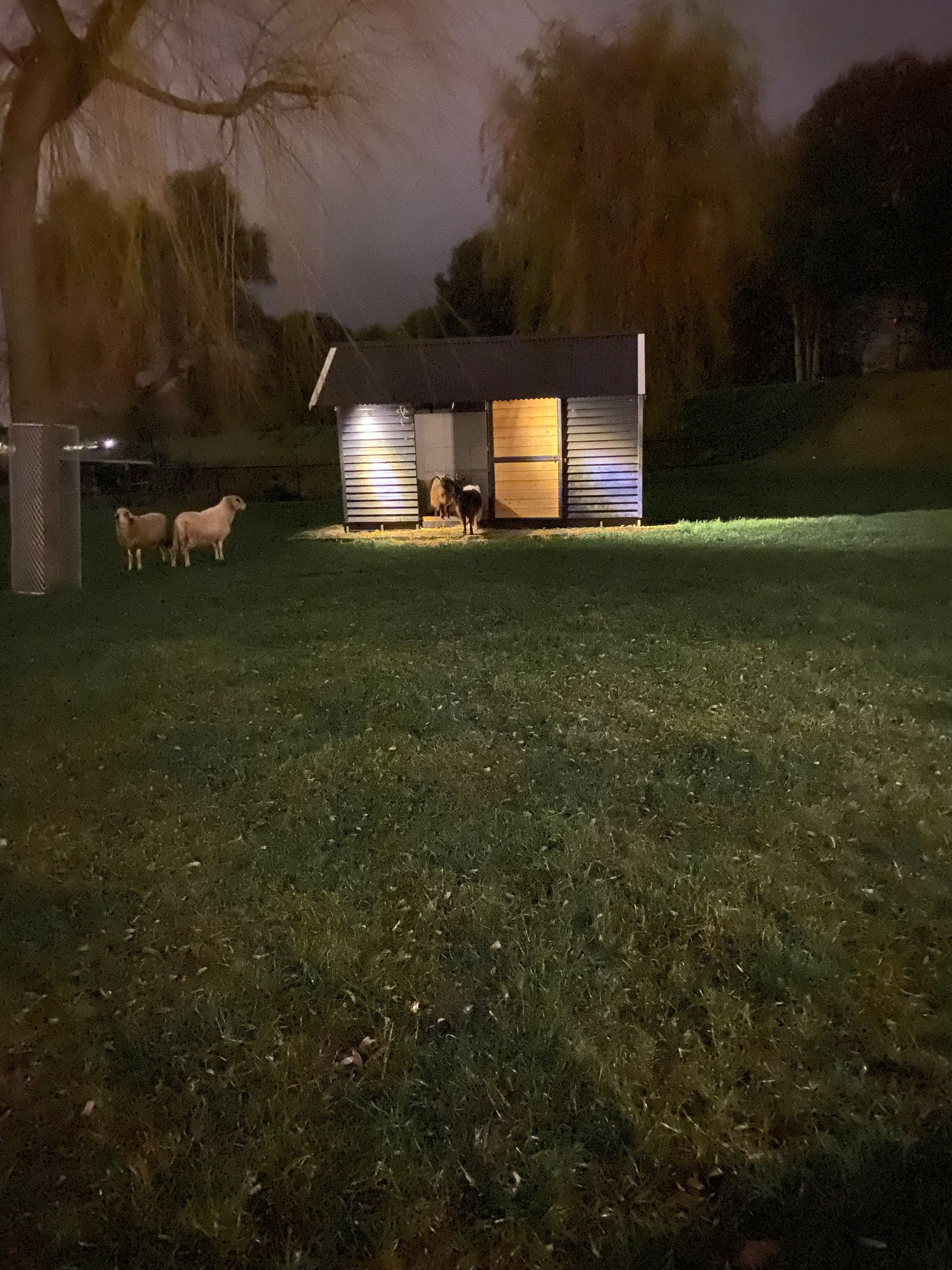 Solar wandspot Heads complete set met twee spots en los solarpaneel