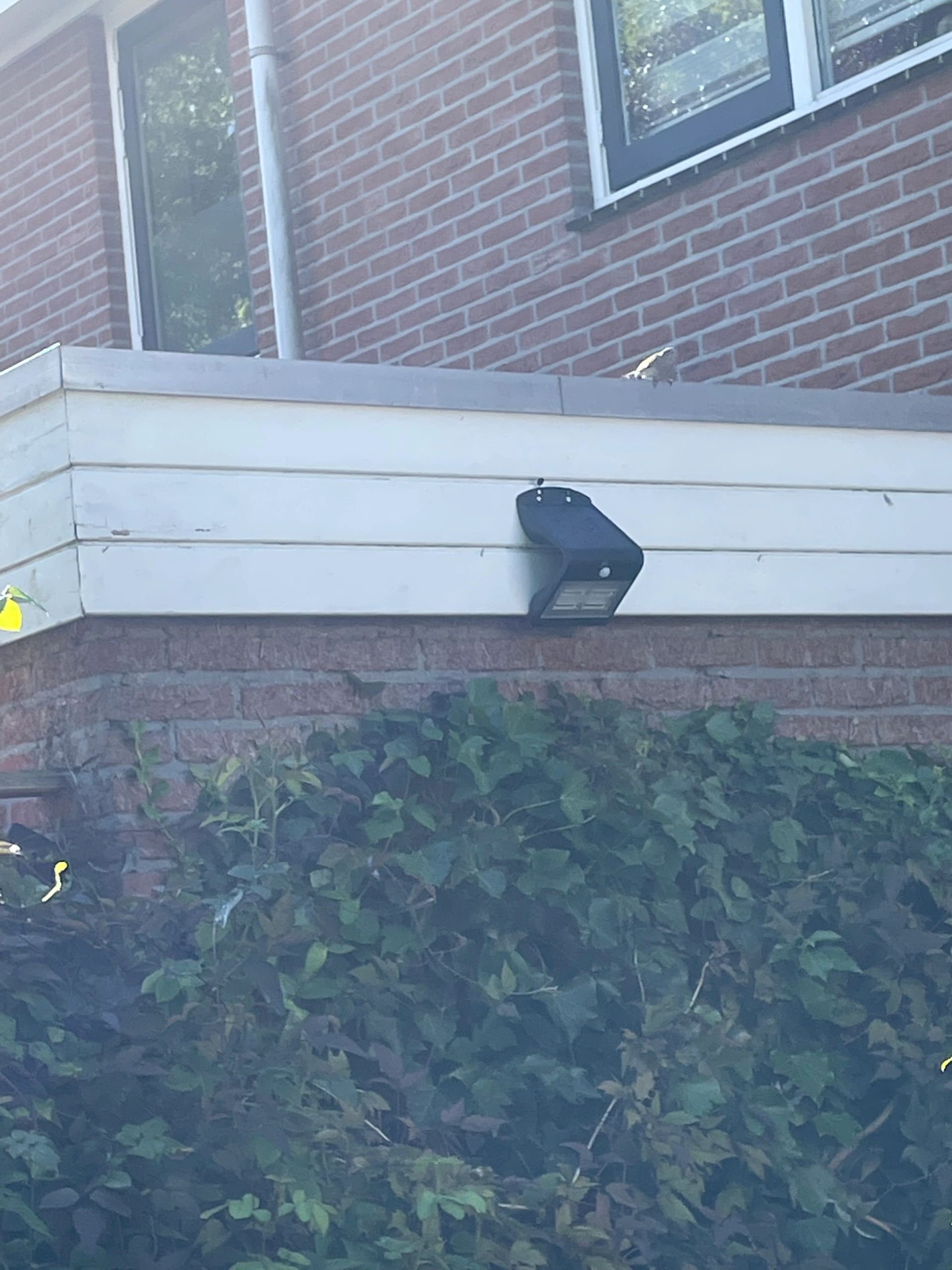 Solar wandlamp Carl II met bewegingsmelder op zonne-energie