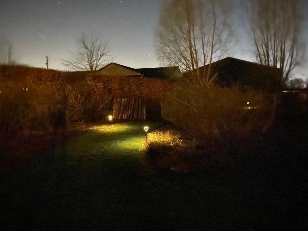 Solar priklamp Birdie zwart met warm wit licht