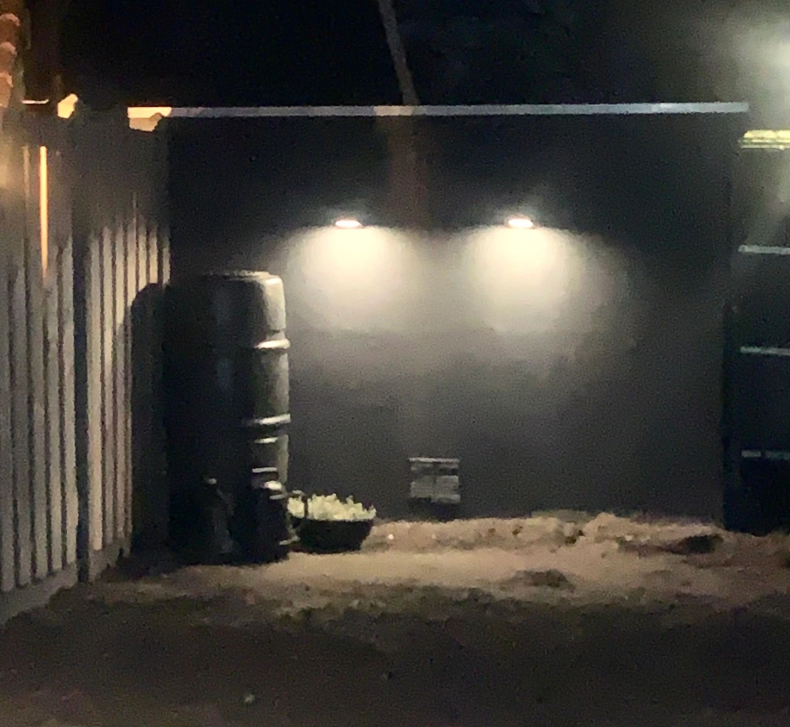 Solar wandlamp Slim met 36 leds en bewegingsmelder Zwart op zonne energie